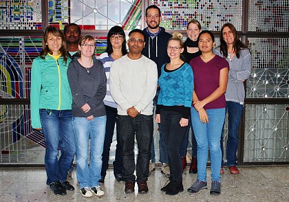 Arbeitsgruppe Prof. Dr. B. Junker